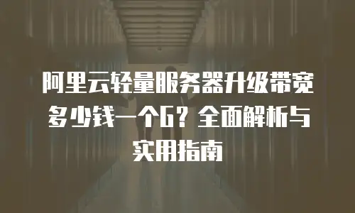 阿里云轻量服务器升级带宽多少钱一个G？全面解析与实用指南