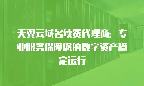 天翼云域名续费代理商：专业服务保障您的数字资产稳定运行