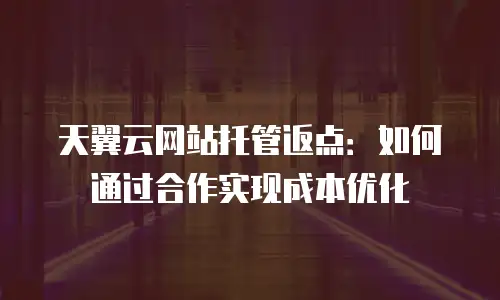 天翼云网站托管返点：如何通过合作实现成本优化