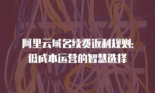 阿里云域名续费返利规则：低成本运营的智慧选择