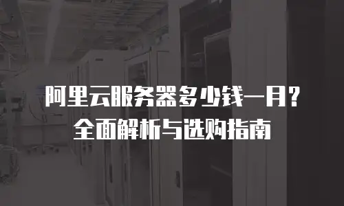 阿里云服务器多少钱一月？全面解析与选购指南