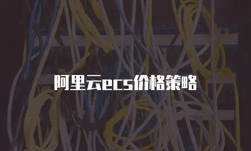 阿里云ecs价格策略
