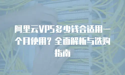 阿里云VPS多少钱合适用一个月使用？全面解析与选购指南
