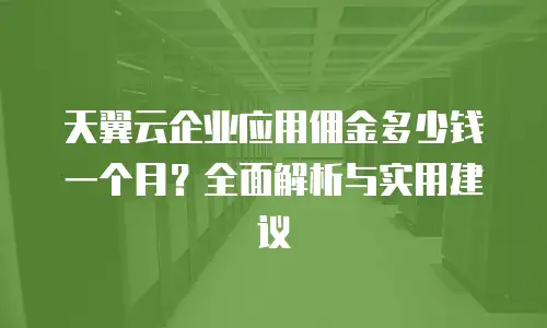 天翼云企业应用佣金多少钱一个月？全面解析与实用建议