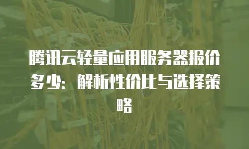 腾讯云轻量应用服务器报价多少：解析性价比与选择策略