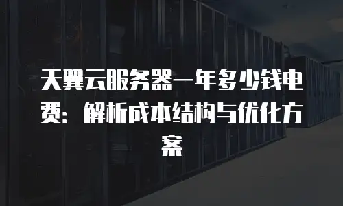 天翼云服务器一年多少钱电费：解析成本结构与优化方案
