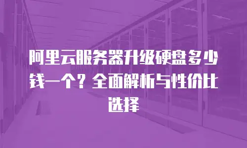 阿里云服务器升级硬盘多少钱一个？全面解析与性价比选择