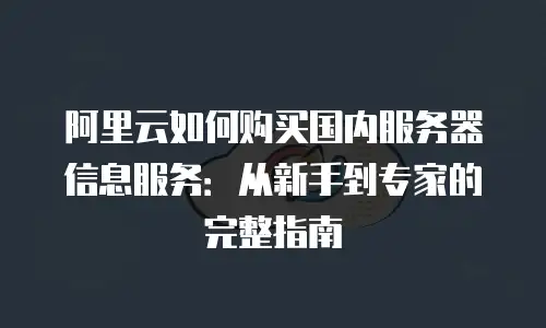 阿里云如何购买国内服务器信息服务：从新手到专家的完整指南