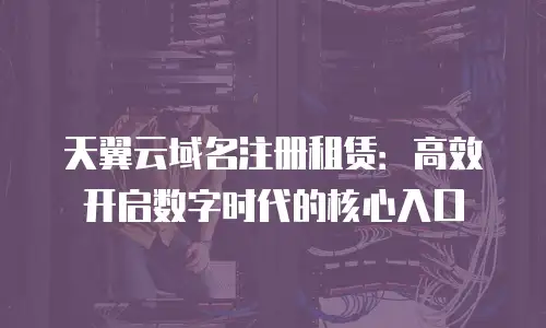 天翼云域名注册租赁：高效开启数字时代的核心入口
