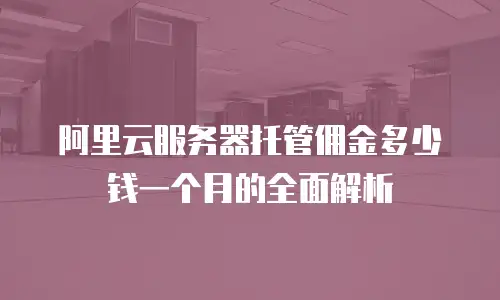 阿里云服务器托管佣金多少钱一个月的全面解析
