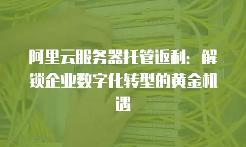 阿里云服务器托管返利：解锁企业数字化转型的黄金机遇