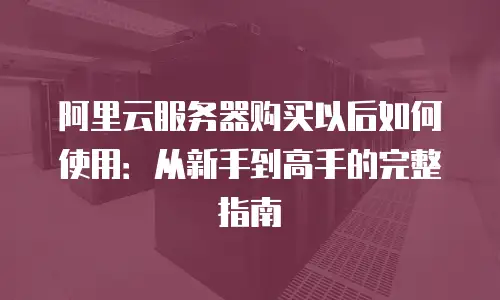 阿里云服务器购买以后如何使用：从新手到高手的完整指南