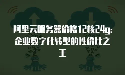 阿里云服务器价格12核24g：企业数字化转型的性价比之王