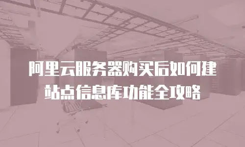 阿里云服务器购买后如何建站点信息库功能全攻略