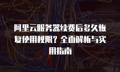 阿里云服务器续费后多久恢复使用权限？全面解析与实用指南