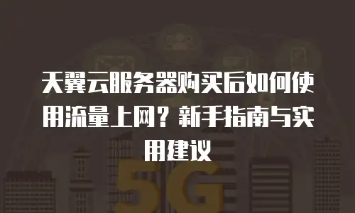 天翼云服务器购买后如何使用流量上网？新手指南与实用建议