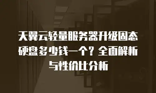 天翼云轻量服务器升级固态硬盘多少钱一个？全面解析与性价比分析