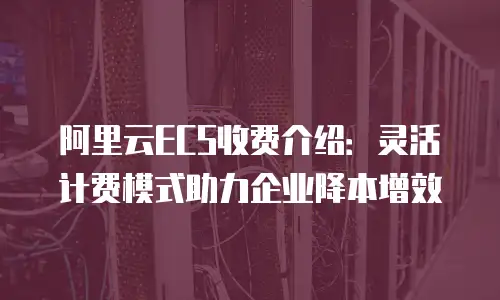 阿里云ECS收费介绍：灵活计费模式助力企业降本增效