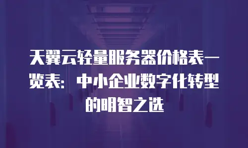 天翼云轻量服务器价格表一览表：中小企业数字化转型的明智之选