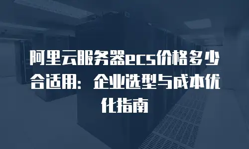 阿里云服务器ecs价格多少合适用：企业选型与成本优化指南