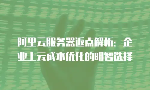 阿里云服务器返点解析：企业上云成本优化的明智选择