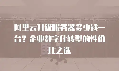 阿里云升级服务器多少钱一台？企业数字化转型的性价比之选