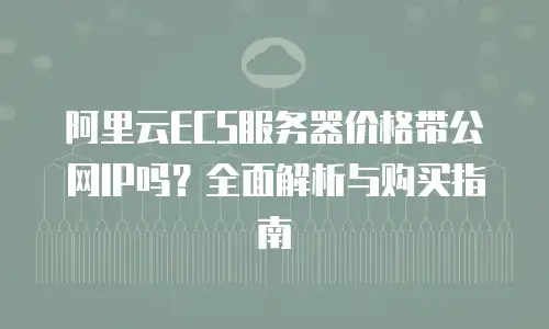 阿里云ECS服务器价格带公网IP吗？全面解析与购买指南