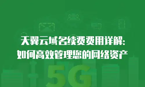 天翼云域名续费费用详解：如何高效管理您的网络资产