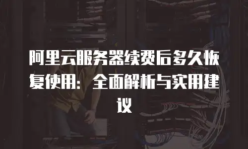 阿里云服务器续费后多久恢复使用：全面解析与实用建议
