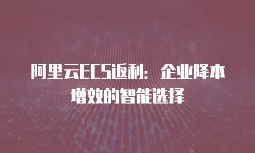 阿里云ECS返利：企业降本增效的智能选择