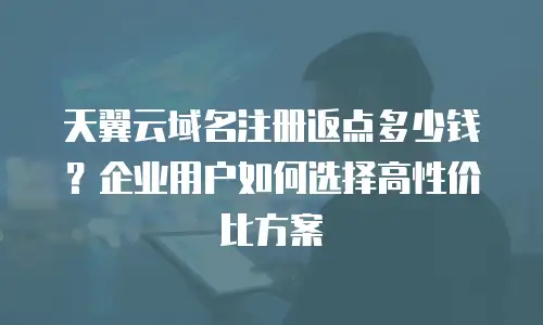 天翼云域名注册返点多少钱？企业用户如何选择高性价比方案