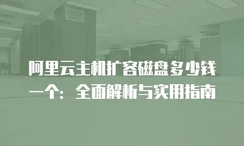 阿里云主机扩容磁盘多少钱一个：全面解析与实用指南