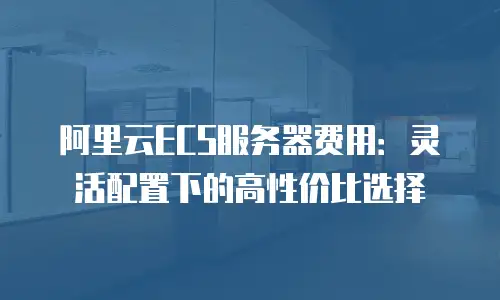 阿里云ECS服务器费用：灵活配置下的高性价比选择