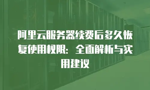 阿里云服务器续费后多久恢复使用权限：全面解析与实用建议