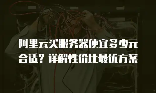 阿里云买服务器便宜多少元合适？详解性价比最优方案