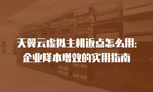 天翼云虚拟主机返点怎么用：企业降本增效的实用指南