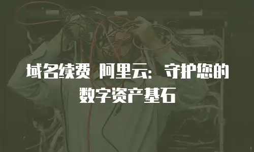 域名续费 阿里云：守护您的数字资产基石