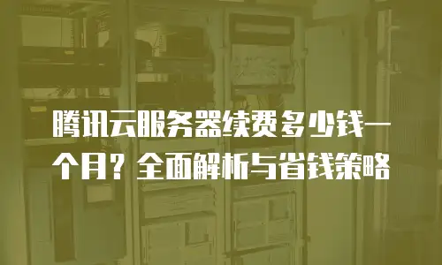 腾讯云服务器续费多少钱一个月？全面解析与省钱策略