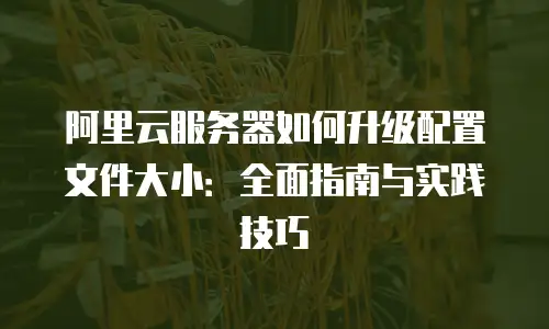 阿里云服务器如何升级配置文件大小：全面指南与实践技巧