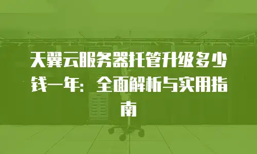 天翼云服务器托管升级多少钱一年：全面解析与实用指南