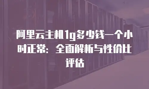 阿里云主机1g多少钱一个小时正常：全面解析与性价比评估