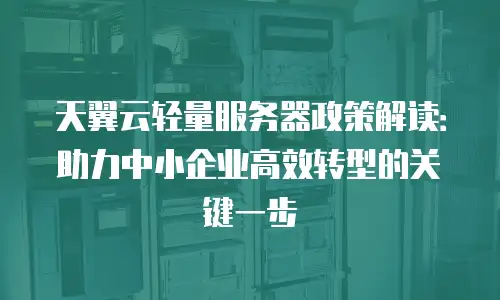 天翼云轻量服务器政策解读：助力中小企业高效转型的关键一步