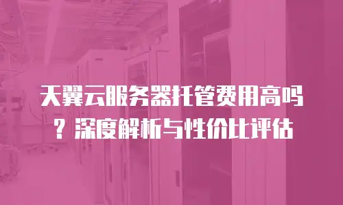天翼云服务器托管费用高吗？深度解析与性价比评估