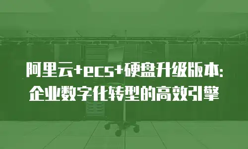 阿里云+ecs+硬盘升级版本：企业数字化转型的高效引擎
