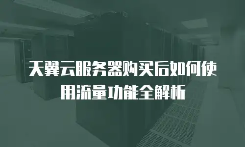 天翼云服务器购买后如何使用流量功能全解析