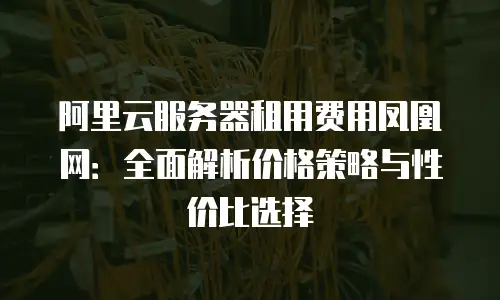 阿里云服务器租用费用凤凰网：全面解析价格策略与性价比选择