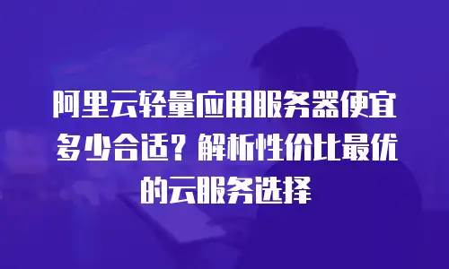 阿里云轻量应用服务器便宜多少合适？解析性价比最优的云服务选择