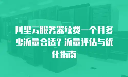 阿里云服务器续费一个月多少流量合适？流量评估与优化指南