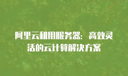 阿里云租用服务器：高效灵活的云计算解决方案