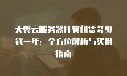 天翼云服务器托管租赁多少钱一年：全方位解析与实用指南